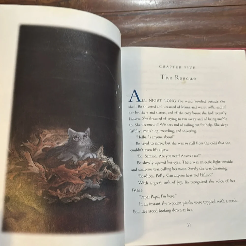 Little Bo: The Story of Bonnie Boadicea red hardcover book‎